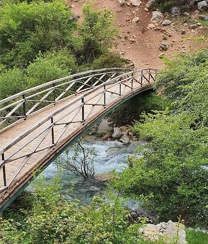Saluda Alta *