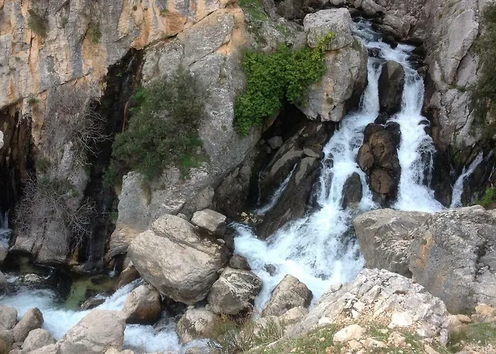 Saluda Alta