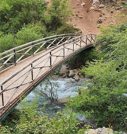 Saluda Alta *
