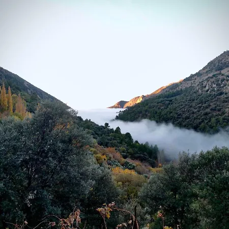 Saluda Alta