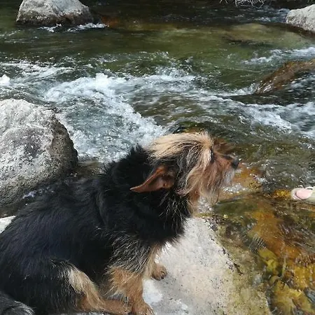 Saluda Alta *