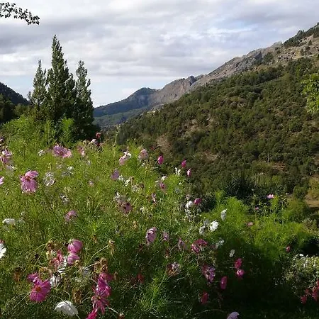 Casa rural Saluda Alta Castril