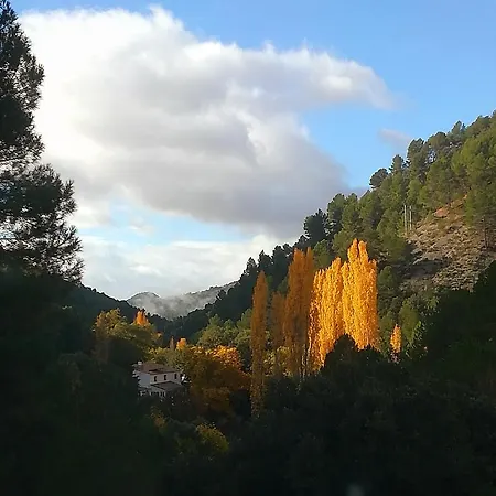 Saluda Alta カストリル