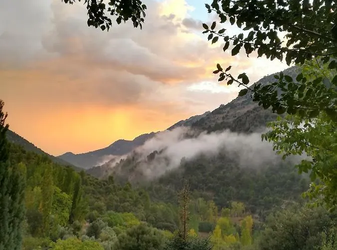Saluda Alta