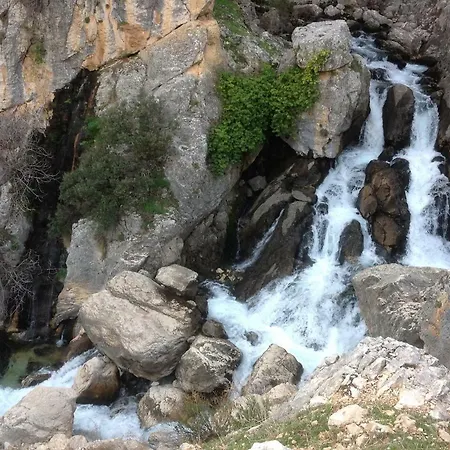 Saluda Alta